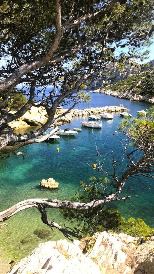 Le Sept Charmant Studio Aux Portes Des Calanques Διαμέρισμα Κασί Εξωτερικό φωτογραφία